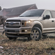 Pictured: average F-150 buyer